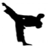Your Taekwondo Training Journey